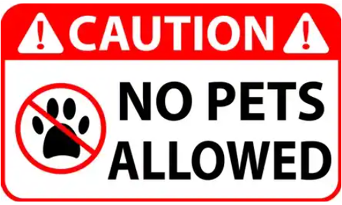 Friendly Reminder No Pets Allowed at Any Soccer Activity